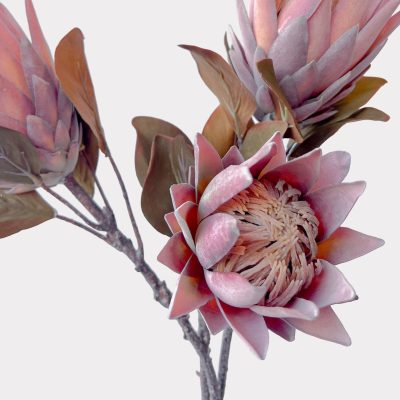 Dusty Pink Protea Artificial Faux Flowers