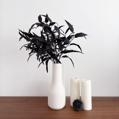 Halloween Willow Eucalyptus Black