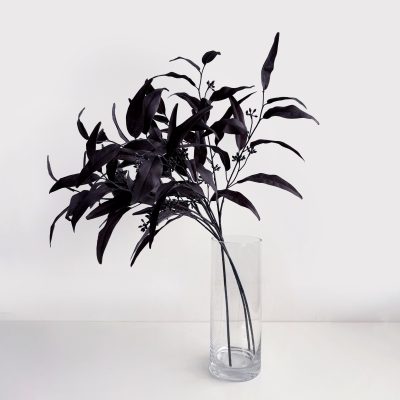 Halloween Willow Eucalyptus Black
