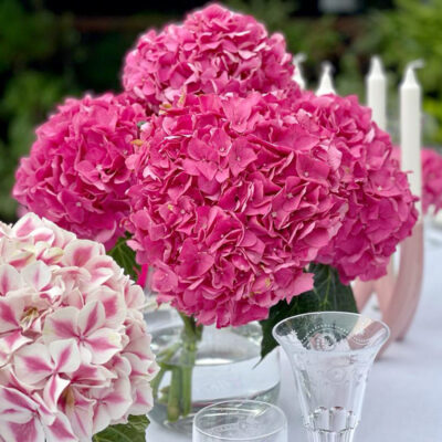Hot Pink-Hydrangea-Flower-Delivery-Singapore