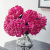 Hot Pink-Hydrangea-Flower-Delivery-Singapore