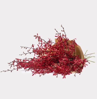 James Storie Red Orchids 1