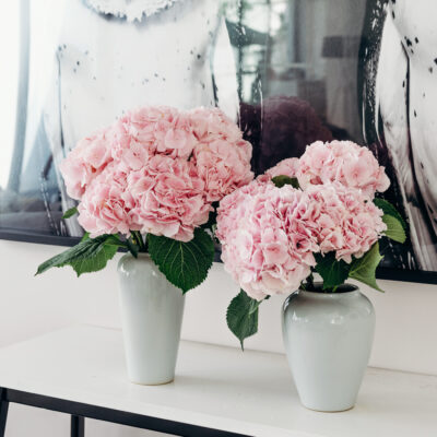 Pink-Hydrangea-Flower-Delivery-Singapore