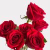 Red Rose Single Variety
