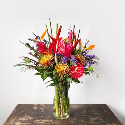 Tropical Paradise Lifestyle