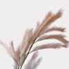 Wheat Rabbit Tail Artificial Faux Flowers