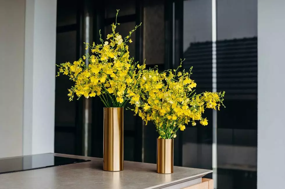 Single-Variety-Market-Flowers-Orchids